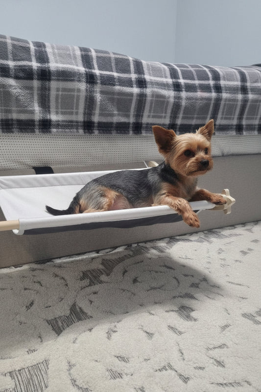 Marggo™ Bedside Cat Hammock – Elevated Cozy Lounger