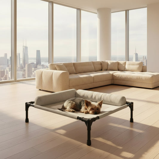 The d is sleepeing og on a elevated pet bed in a room with wooden flooring and a staircase.