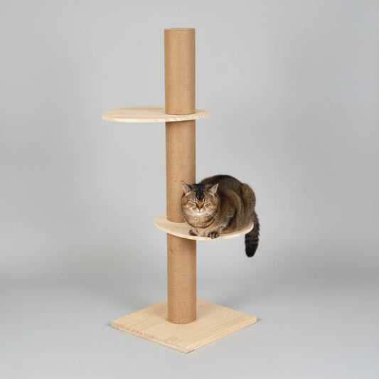 Marggo Floor-to-Ceiling Cat Tree with Acrylic Bubble Bed & Modern Wooden Perches