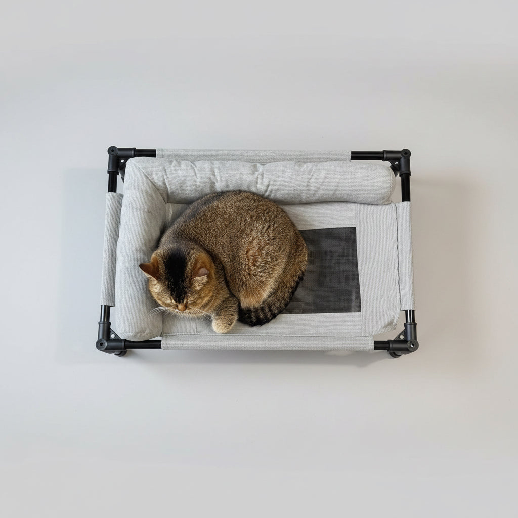 Cat lying on a pet bed with a black frame 
