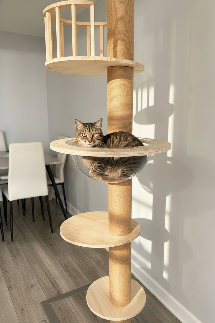 Cat sitting on a wooden cat tree in a room with chairs and a table.