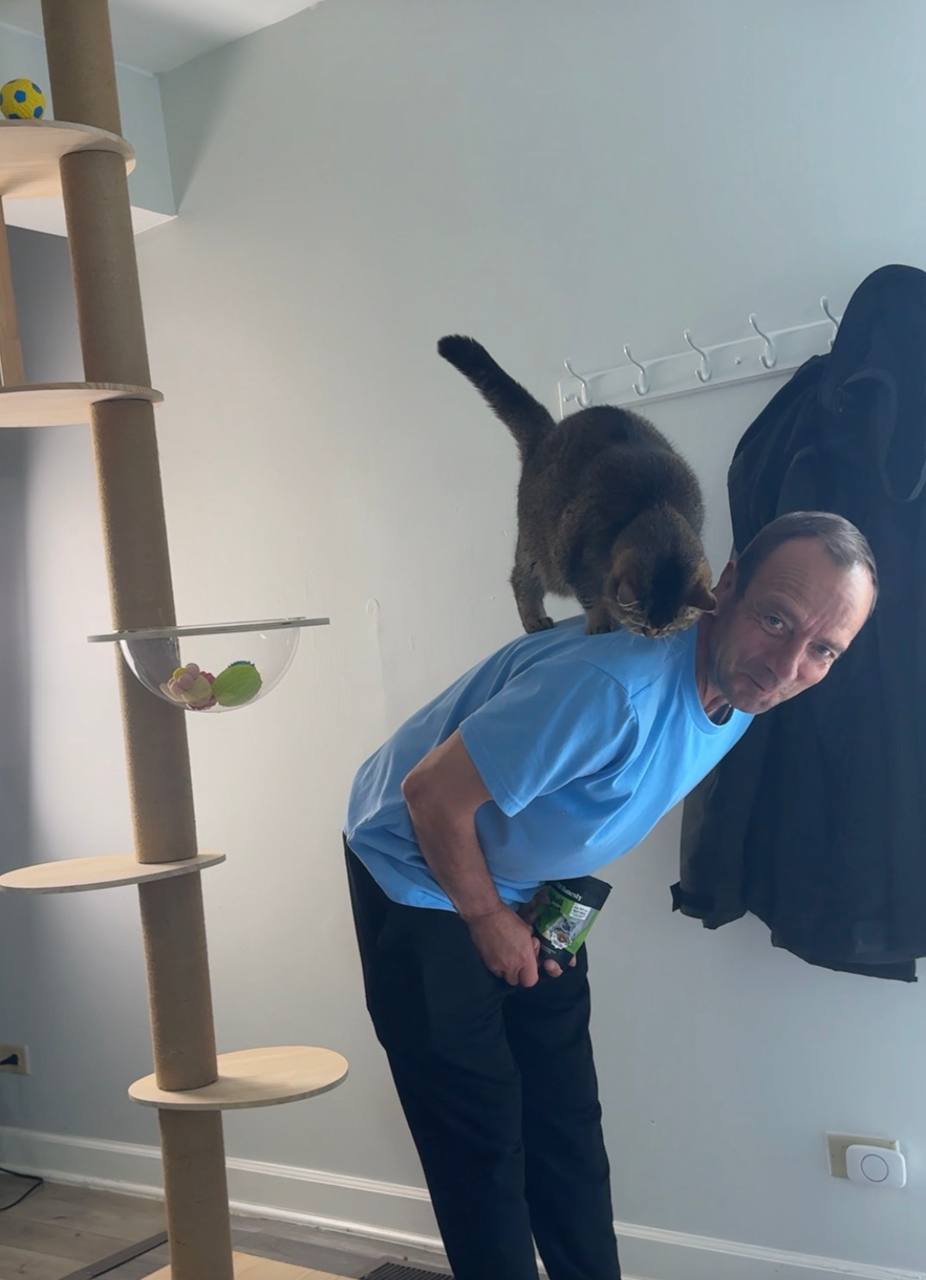 Happy owner  with a cat on their back standing next to a cat tree indoors.